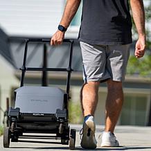 EcoFlow DELTA 3 Classic Portable Power Station with Trolley