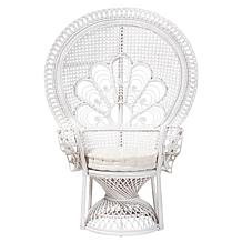 Ediva Peacock Accent Chair with Plush Cushion