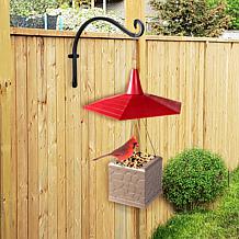 Eternity Bird Feeder with 360 View and Squirrel-Resistant Design