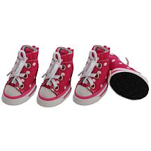 Extreme Skater Casual Grip Pet Sneaker Shoes
