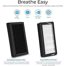 EyeVac Air Purification Replacement Filters (2)