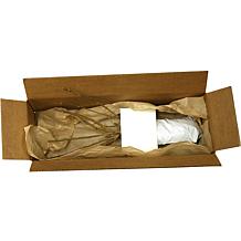 Forsythia Lynwood Gold Set of 1 Root Stock