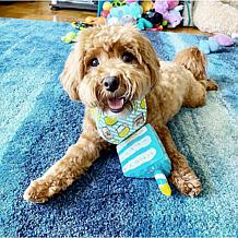 FOUFIT Birthday Cake Dog Chew Toy - Blue (6")