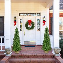 Fraser Hill Farm 3-Ft. Boxwood Porch Tree in Burlap Bag, Set of 2