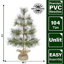 Fraser Hill Farm 3-ft. Farmhouse Fir Christmas Tree with Burlap Bag