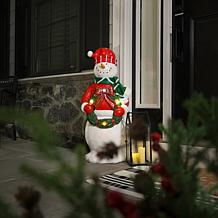 Fraser Hill Farm 3-Ft. Flat Back Snowman with Wreath & White LED Li...