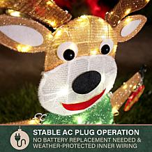 Fraser Hill Farm 3-Ft. Light-Up LED Reindeer Christmas Decoration w...