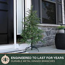 Fraser Hill Farm 4-Ft. Alpine Cedar Pre-Lit Artificial Christmas Tr...