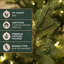 Fraser Hill Farm 4-Ft. Foxtail Pine Pre-Lit Artificial Christmas Tr...