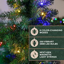 Fraser Hill Farm Fraser Hill Noel Pine 6-Ft. Artificial Christmas T...