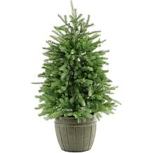 Fraser Hill Farms 4' Potted Pine Tree with Clear Lights