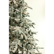 Fraser Hill Farms 9' Flocked Mountain Pine Tree - Smart Lights