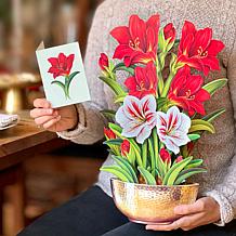 Freshcut Paper Set of 3 Pop-Up Holiday Greeting Cards