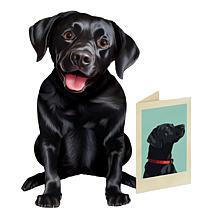 Freshcut Paper Set of 3 Pop-Up Pet Greeting Cards w/Accessories