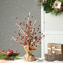 Glitzhome 16in. H Christmas Red Berry Table Tree Decor