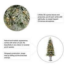 Glitzhome 2pk 5 Ft. Pre-Lit Artificial Pine Christmas Porch Tree