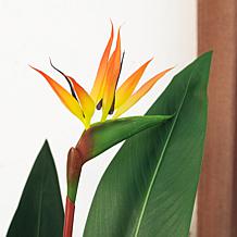 Glitzhome 5.25' Faux Bird of Paradise Simulates Plants in Pot