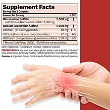 Glucosamine and Chondroitin - 600 Capsules