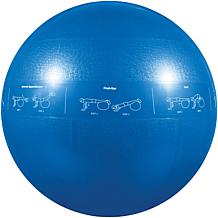 GoFit 55cm Pro Professional Stability Ball and DVD
