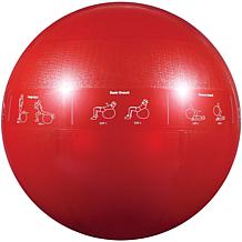 GoFit Stability Ball and Core Performance Training DVD