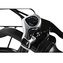 GoPower GoVelo E-Bike