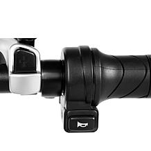 GoPowerBike GoVelo E-Bike  