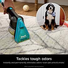 Hair Pro Pet Carpet Cleaner with Stain Striker