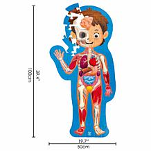 Hape Human Body Puzzle - Anatomy Jigsaw, 60 Oversized Pieces