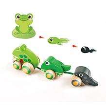 Hape Pull-Along Frog Family - Wooden Toddler Toy
