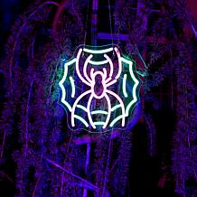 Haunted Hill Farm 0.9-Ft. Neon Pink & Green LED Spider with Web Wal...