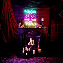 Haunted Hill Farm 1.9-Ft. Neon Multicolor LED Witch with Flying Bro...