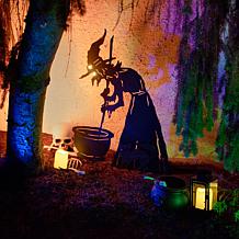 Haunted Hill Farm 3-Ft. Black Metal Lighted Witch & Cat Decoration ...