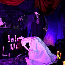 Haunted Hill Farm 5.6-ft. Floating Lady with Magic Reaper Animatronic