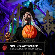 Haunted Hill Farm 6.1-Ft. Standing Animated Witch with Pumpkin Man ...