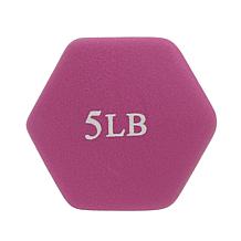 Health & Fitness 5lb Neoprene Dumbbells