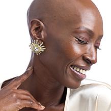 Heidi Daus Sparkler Alert Crystal Earrings