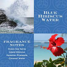 Homeworx by Slatkin + Co. S/2 Beachside Gel Hand Soaps