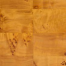 Huxley Natural Burl Wood Coffee Table