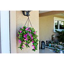 Improvements 11" Petunia Hanging Baskets - 2-pack