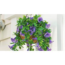 Improvements 11" Petunia Hanging Baskets - 2-pack
