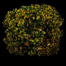 Improvements 13" Boxwood Sphere with Lights - Set of 2