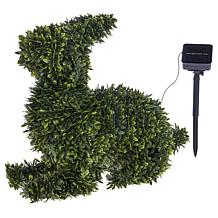 Improvements 15" LED Boxwood Bunny