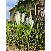 Improvements 36-inch Faux Pampas Grass Stakes Set of 2