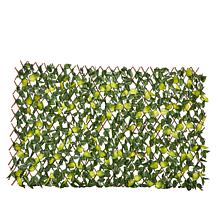 Improvements Lighted Expandable Fence