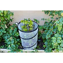 Improvements Pop-Up Greenhouse - Set of 2