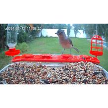 Improvements Solar Powered Smart Birdfeeder With Camera
