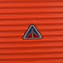 InUSA Royal Lightweight Hardside Spinner 24"