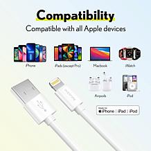 iPhone Charger Set: Wall Charger + 6 Ft Lightning Cable - Silver