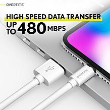iPhone Charger Set: Wall Charger + 6 Ft Lightning Cable - Silver