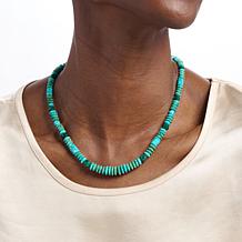 Jay King 18" Heavenly Well Lake Turquoise Graduated Beaded Necklace